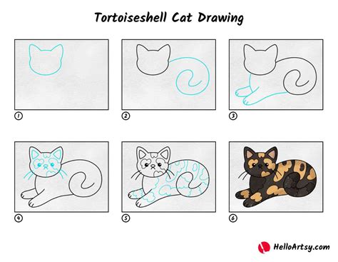 Image result for Turtle Cat Drawing