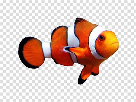 Image result for Transparent Snapping Fingers