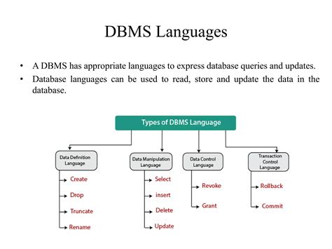 Image result for Commands in DBMS