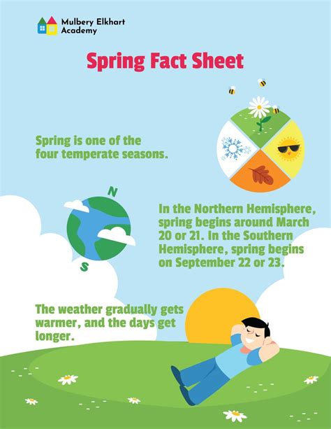 Image result for Spring Facts