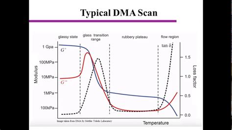 Image result for DMA Sample