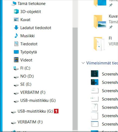 Image result for Reflect USB Tikun Luonti