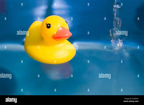Image result for Rubber Duck Bath