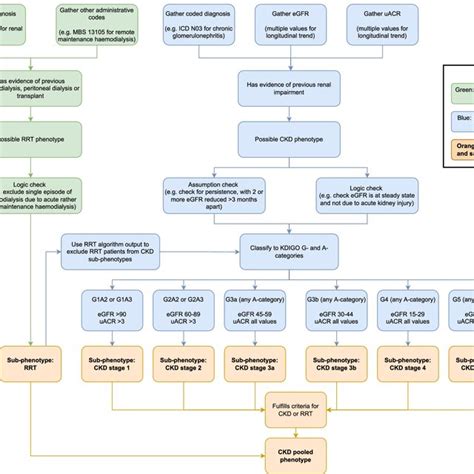 Image result for CKD Algorithm UK