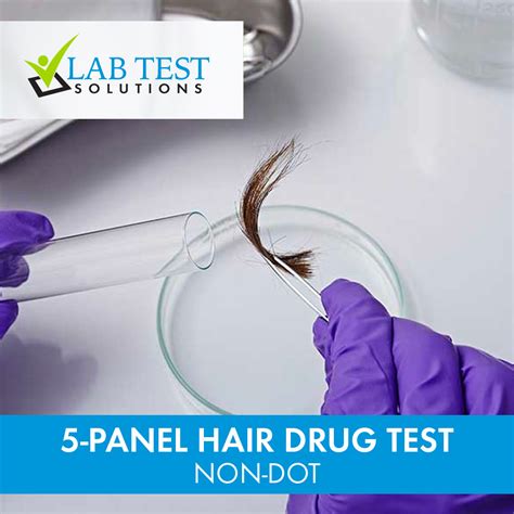 Image result for Hair Sample Drug Test