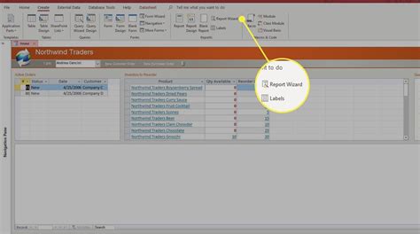 Image result for Professional Access Reports