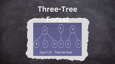 Image result for Transforming a Forest into a Binary Tree in Data Structure