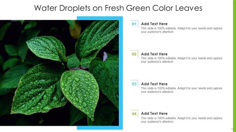 Green PPT に対する画像結果