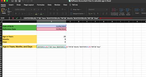 Image result for How to Formulate Age in Excel