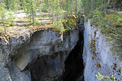 Image result for Roack Python's