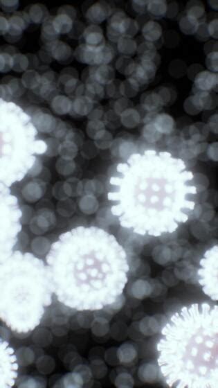 Image result for Virus Cells Under Microscope