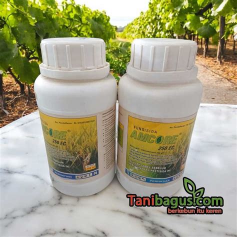 Afbeeldingsresultaten voor Amcore Version Update