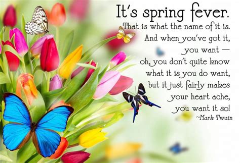 Image result for Spring Fever in January