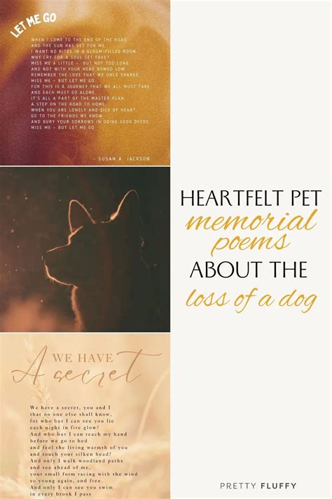 Image result for Doy Lossy