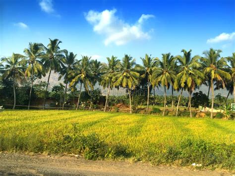 Giant Explosion に対する画像結果