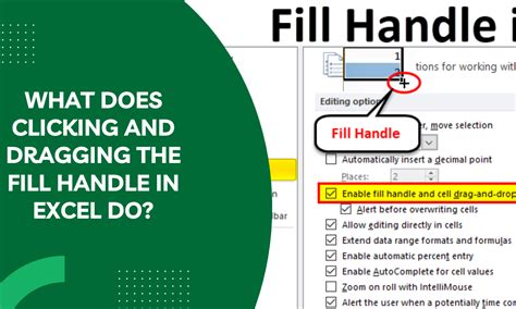 Toradh íomhá ar How Do You Handle Data in Excel