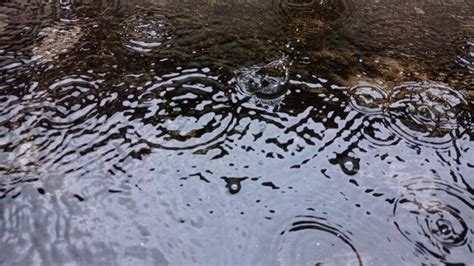 Image result for Dive into Puddle