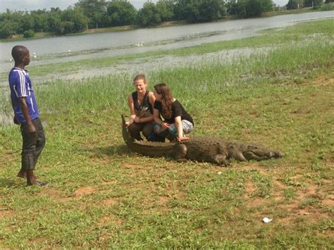 Source Code Lab に対する画像結果