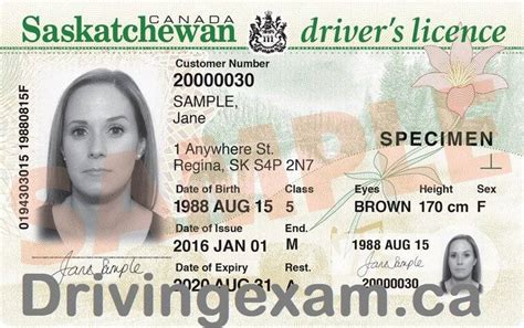 SGI Driving Test Practice に対する画像結果