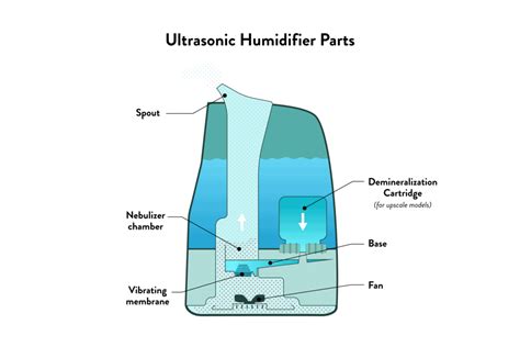 Toradh íomhá ar How to Use a Humidifier Properly