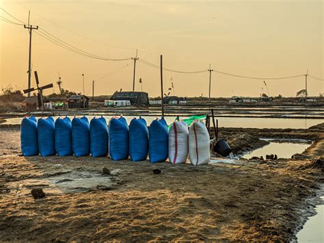 Image result for Sacks of Table Salt