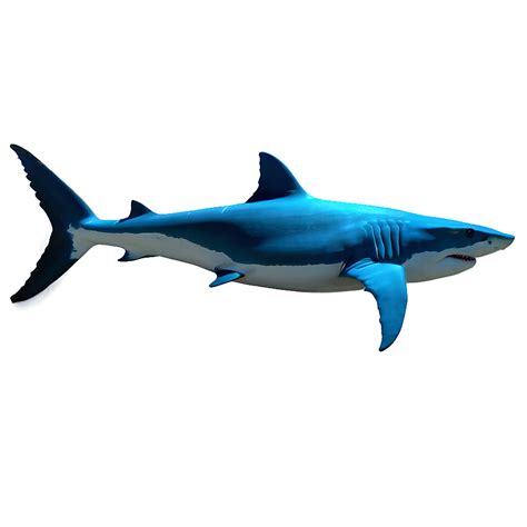 Image result for Sharrow PNG