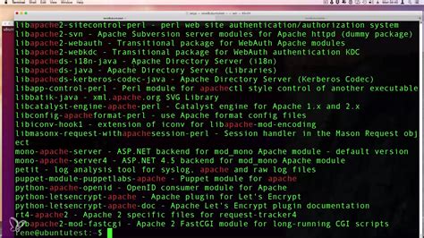 Toradh íomhá ar Installation Linux