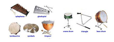 Image result for Common Percussion Instruments