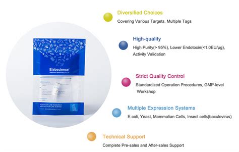 Image result for e-LAB Sample