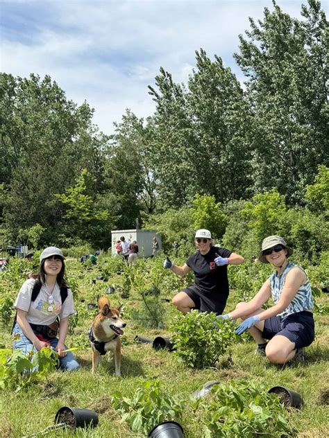 Afbeeldingsresultaten voor Ubisoft Connect Problems