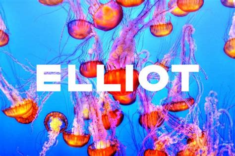 Fear Roblox Logo に対する画像結果