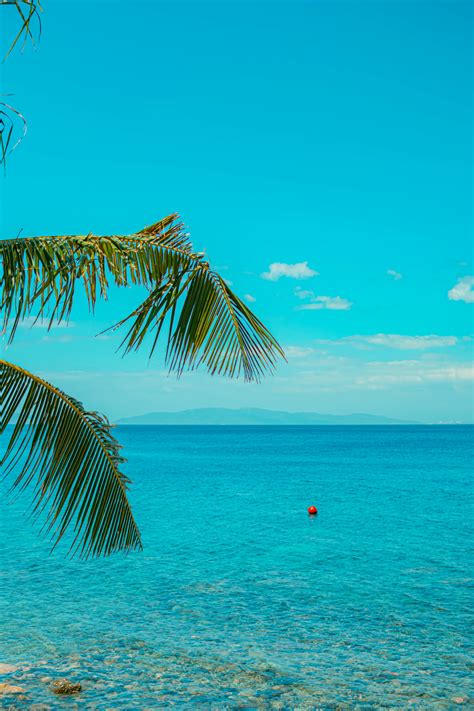 Image result for Bali Sea