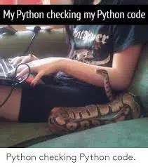 Image result for No Crying in Python Meme