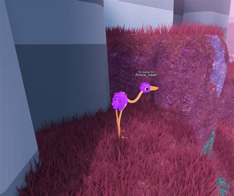 Image result for Roblox Bird Gear