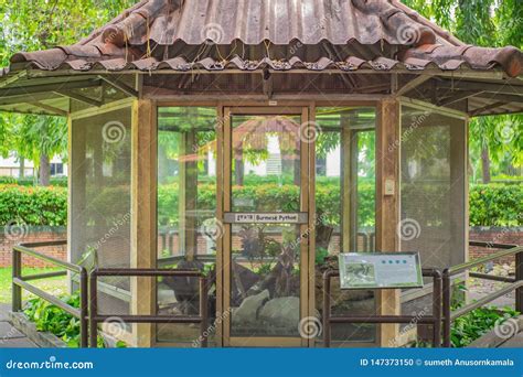 Image result for Python Snake Cage