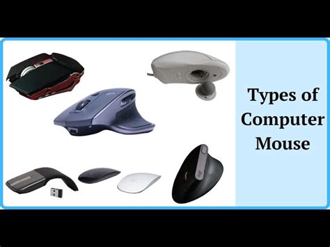 Image result for Different Types of Mouse