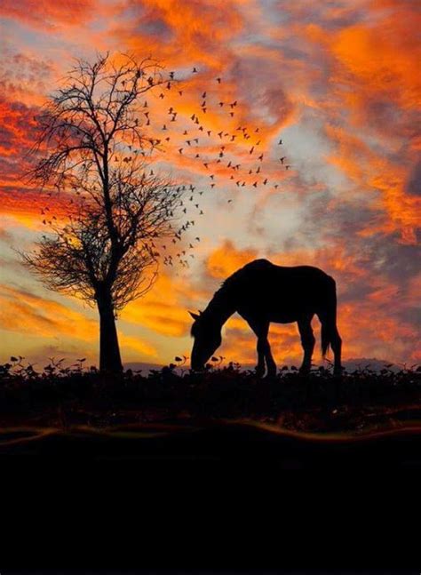 ZIZIT on Twitter: "#Ams
#1As322 🎀🌸🌼🎋… https://t.co/Xxq8C88okw"