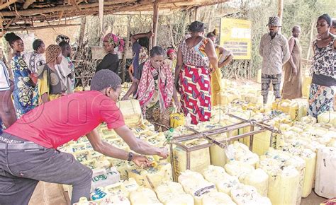 Toradh íomhá ar Computer Vision Scanning Media Pipe