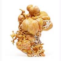 Image result for How to Root Android for PC