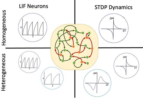 Image result for Sparse Coding in Spiking Neural Networks
