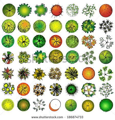 Image result for Plan View Plant Symbols