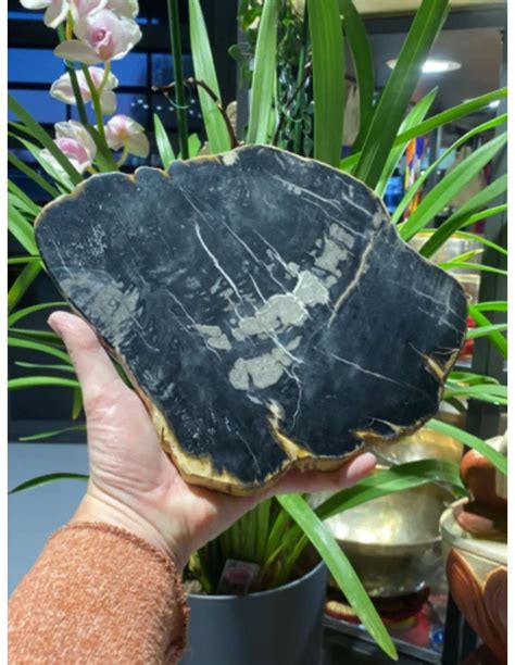 Image result for Java Schijf