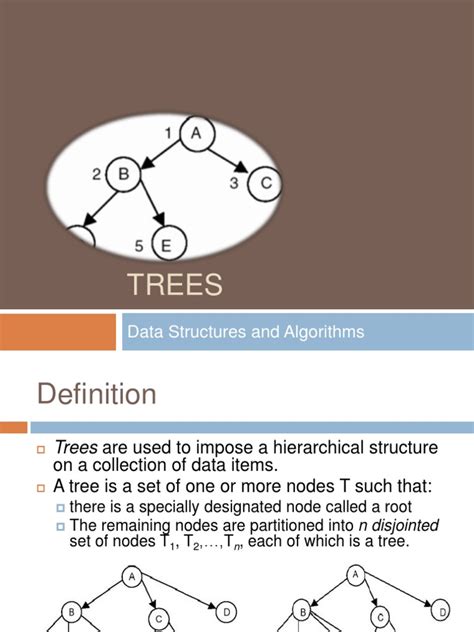 Image result for Forest and Trees Data Structure in Research