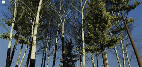 Realistic Tree ID Roblox に対する画像結果