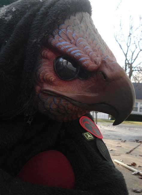 Image result for A Bird Mask Sketch