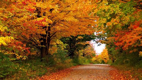 Image result for Fall Seasons