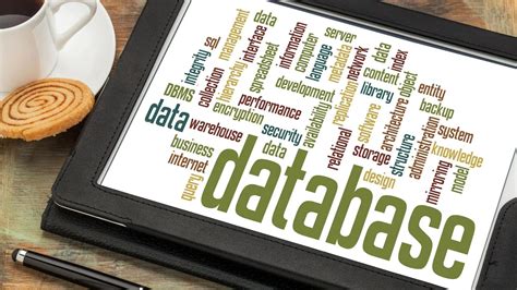 Image result for Web Database Namanya Adalah