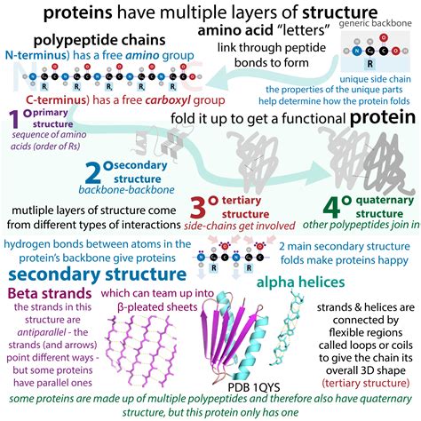 Toradh íomhá ar Function Structure in C