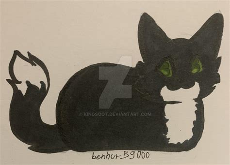 Image result for Evil Maxwell Cat