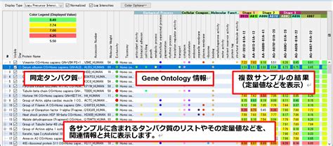 Circle Genrating DDA に対する画像結果